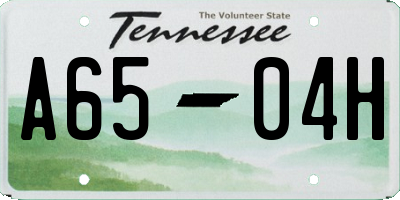 TN license plate A6504H