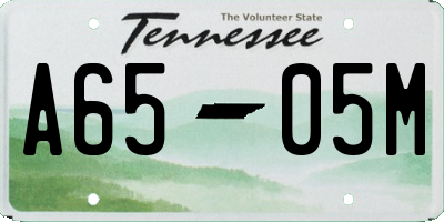 TN license plate A6505M