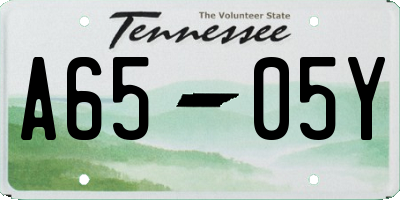 TN license plate A6505Y