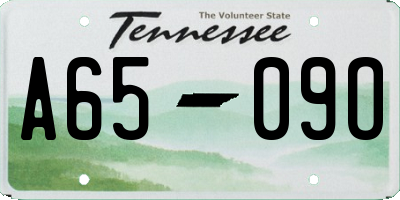TN license plate A6509O