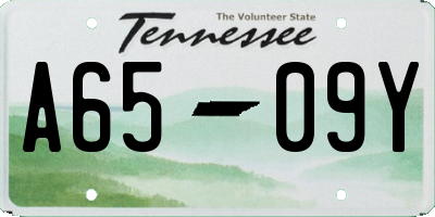 TN license plate A6509Y