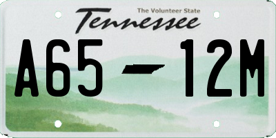 TN license plate A6512M