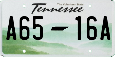TN license plate A6516A