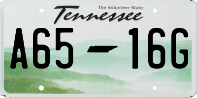 TN license plate A6516G