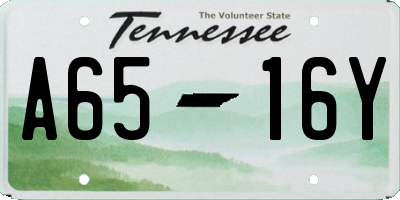 TN license plate A6516Y