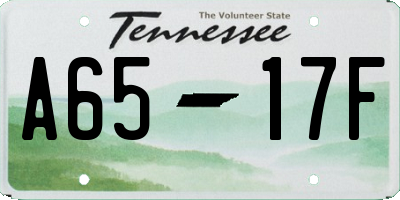 TN license plate A6517F