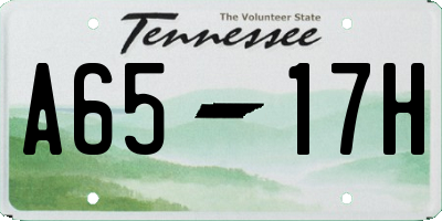 TN license plate A6517H