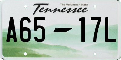TN license plate A6517L