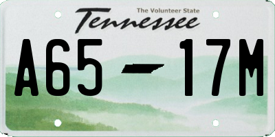 TN license plate A6517M