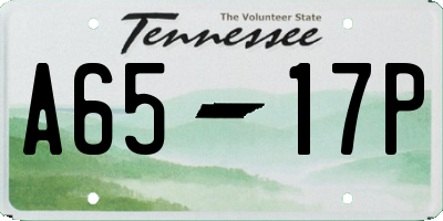 TN license plate A6517P