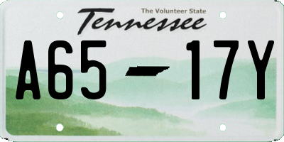 TN license plate A6517Y