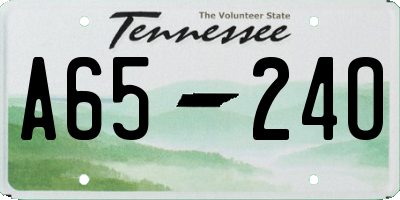 TN license plate A6524O