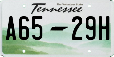 TN license plate A6529H