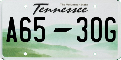 TN license plate A6530G