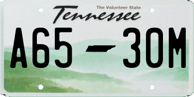 TN license plate A6530M