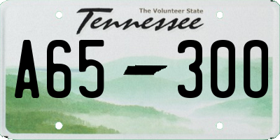 TN license plate A6530O