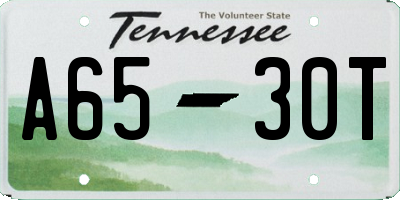 TN license plate A6530T