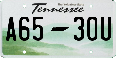 TN license plate A6530U