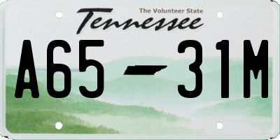 TN license plate A6531M