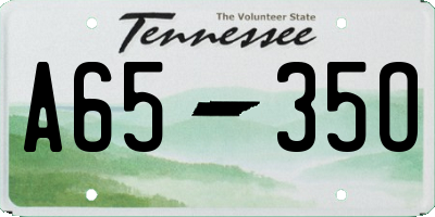 TN license plate A6535O