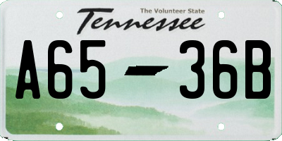TN license plate A6536B