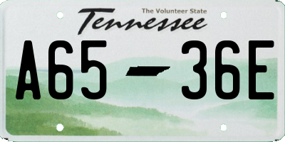 TN license plate A6536E