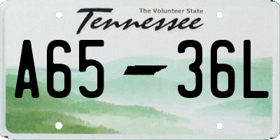 TN license plate A6536L