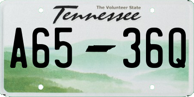 TN license plate A6536Q