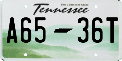 TN license plate A6536T