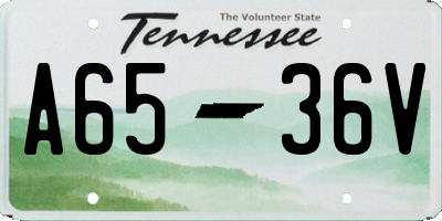 TN license plate A6536V