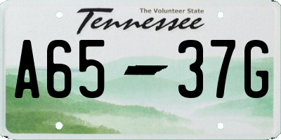 TN license plate A6537G