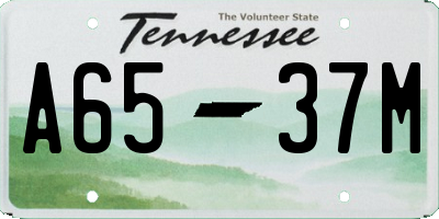 TN license plate A6537M