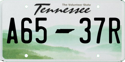 TN license plate A6537R