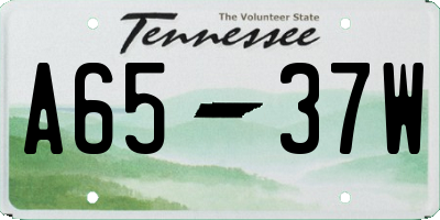 TN license plate A6537W