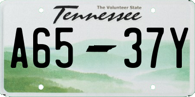 TN license plate A6537Y