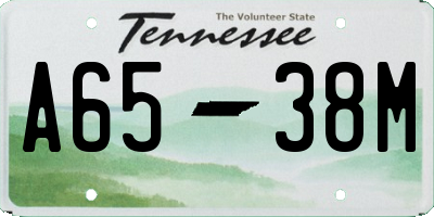 TN license plate A6538M