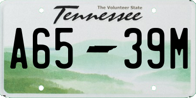 TN license plate A6539M