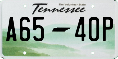TN license plate A6540P
