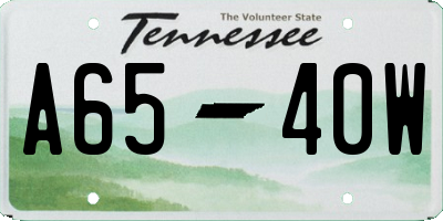 TN license plate A6540W