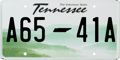 TN license plate A6541A