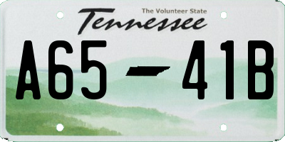 TN license plate A6541B