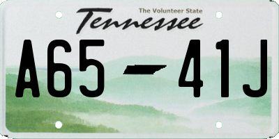 TN license plate A6541J
