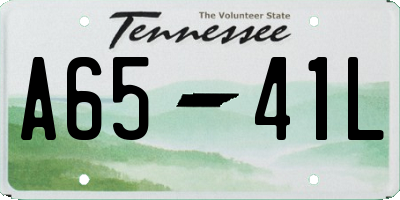 TN license plate A6541L