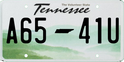TN license plate A6541U