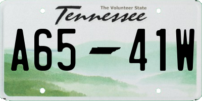 TN license plate A6541W