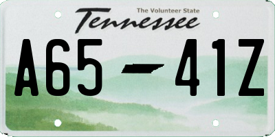 TN license plate A6541Z