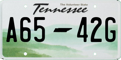 TN license plate A6542G