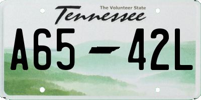 TN license plate A6542L