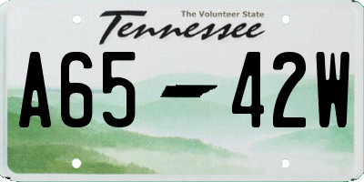 TN license plate A6542W