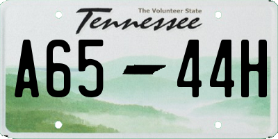 TN license plate A6544H